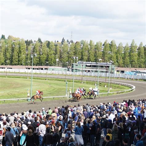hastings park racecourse.